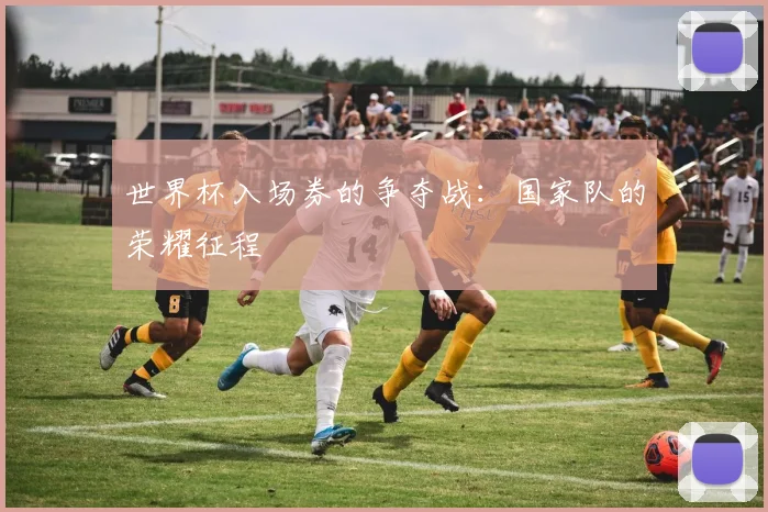 世界杯入场券的争夺战：国家队的荣耀征程