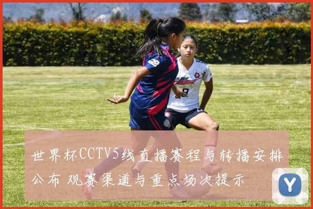 世界杯CCTV5线直播赛程与转播安排公布 观赛渠道与重点场次提示